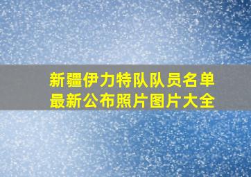 新疆伊力特队队员名单最新公布照片图片大全