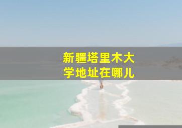 新疆塔里木大学地址在哪儿