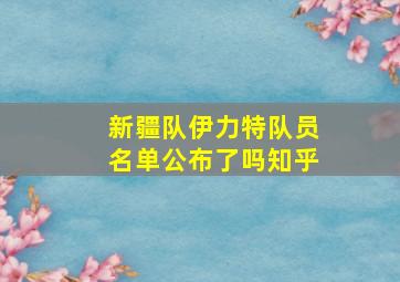 新疆队伊力特队员名单公布了吗知乎