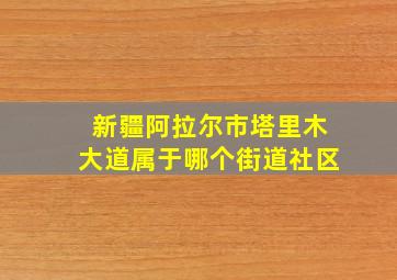 新疆阿拉尔市塔里木大道属于哪个街道社区