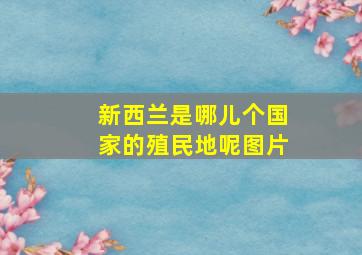 新西兰是哪儿个国家的殖民地呢图片