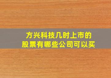 方兴科技几时上市的股票有哪些公司可以买