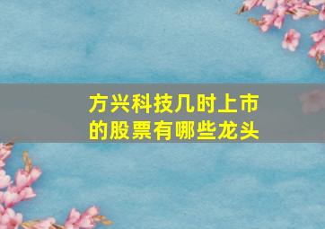 方兴科技几时上市的股票有哪些龙头