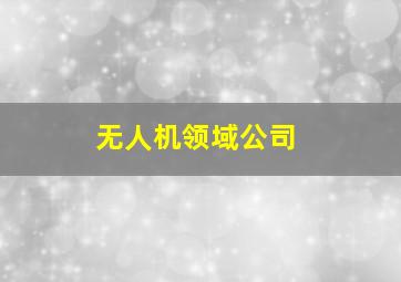 无人机领域公司