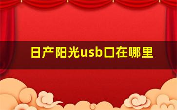 日产阳光usb口在哪里