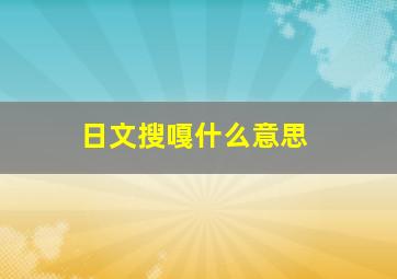 日文搜嘎什么意思