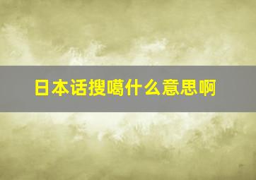 日本话搜噶什么意思啊