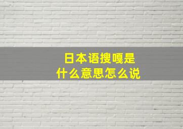 日本语搜嘎是什么意思怎么说