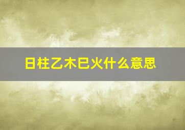 日柱乙木巳火什么意思