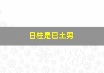 日柱是巳土男