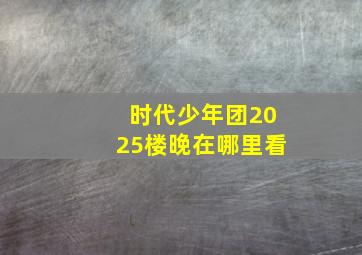 时代少年团2025楼晚在哪里看