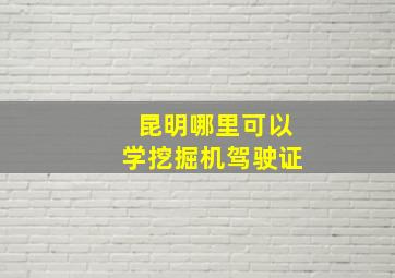 昆明哪里可以学挖掘机驾驶证