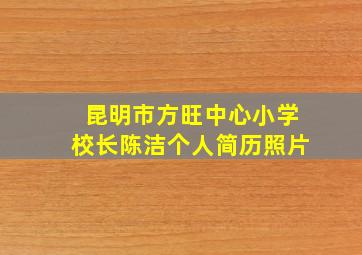 昆明市方旺中心小学校长陈洁个人简历照片