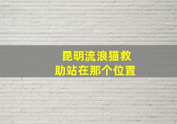 昆明流浪猫救助站在那个位置