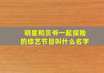 明星和贝爷一起探险的综艺节目叫什么名字