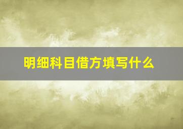 明细科目借方填写什么