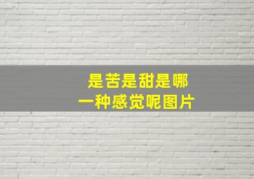 是苦是甜是哪一种感觉呢图片