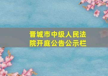 晋城市中级人民法院开庭公告公示栏