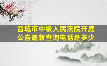 晋城市中级人民法院开庭公告最新查询电话是多少