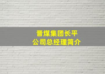 晋煤集团长平公司总经理简介