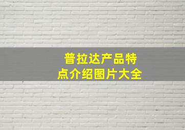 普拉达产品特点介绍图片大全