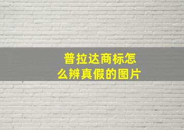 普拉达商标怎么辨真假的图片