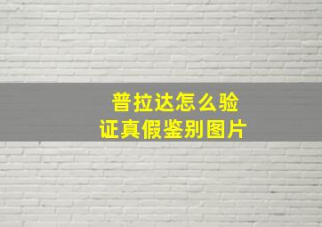 普拉达怎么验证真假鉴别图片