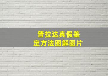 普拉达真假鉴定方法图解图片