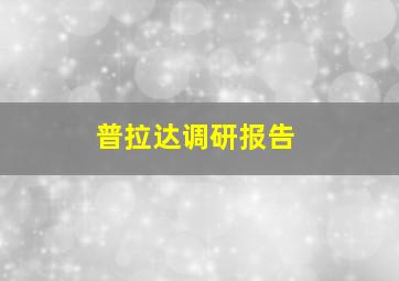 普拉达调研报告