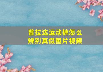 普拉达运动裤怎么辨别真假图片视频