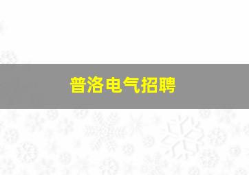 普洛电气招聘