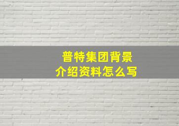 普特集团背景介绍资料怎么写