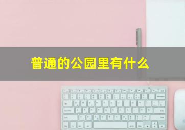 普通的公园里有什么