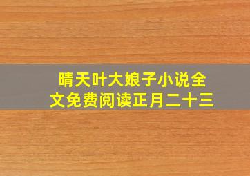 晴天叶大娘子小说全文免费阅读正月二十三