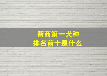 智商第一犬种排名前十是什么