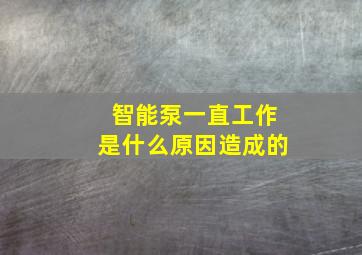 智能泵一直工作是什么原因造成的