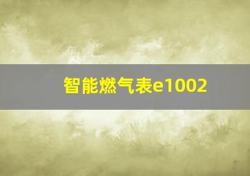 智能燃气表e1002