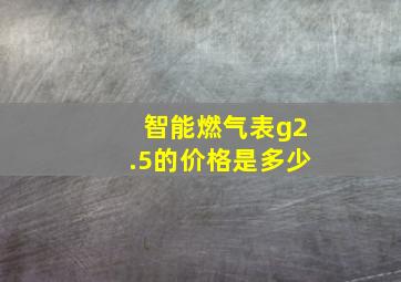 智能燃气表g2.5的价格是多少