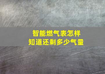 智能燃气表怎样知道还剩多少气量