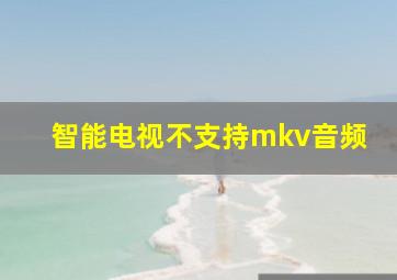 智能电视不支持mkv音频