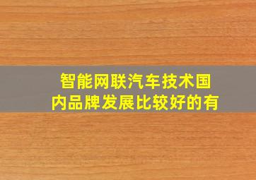 智能网联汽车技术国内品牌发展比较好的有