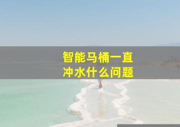 智能马桶一直冲水什么问题