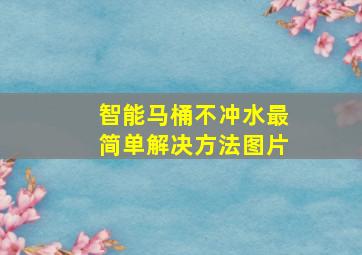 智能马桶不冲水最简单解决方法图片