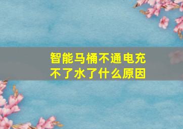 智能马桶不通电充不了水了什么原因