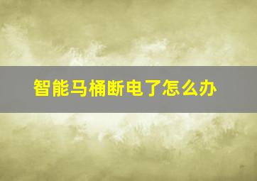 智能马桶断电了怎么办