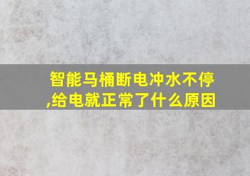 智能马桶断电冲水不停,给电就正常了什么原因