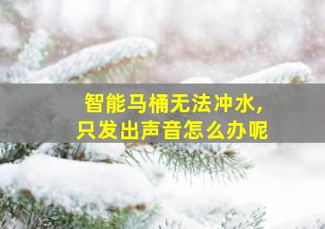 智能马桶无法冲水,只发出声音怎么办呢