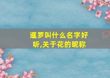 暹罗叫什么名字好听,关于花的昵称