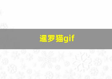 暹罗猫gif