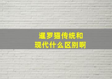 暹罗猫传统和现代什么区别啊